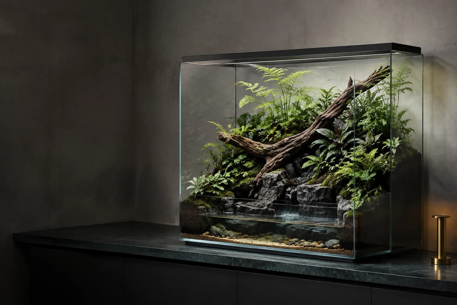 A glass paludarium arranged with stone, wood, moss, ferns, and shallow water